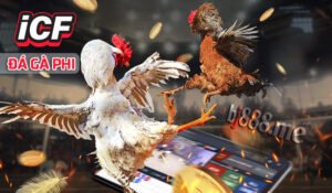 icf độc quyền tại bj88