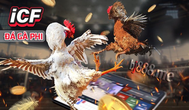 ĐÁ GÀ TRỰC TIẾP ICF TẠI BJ88 1 icf độc quyền tại bj88