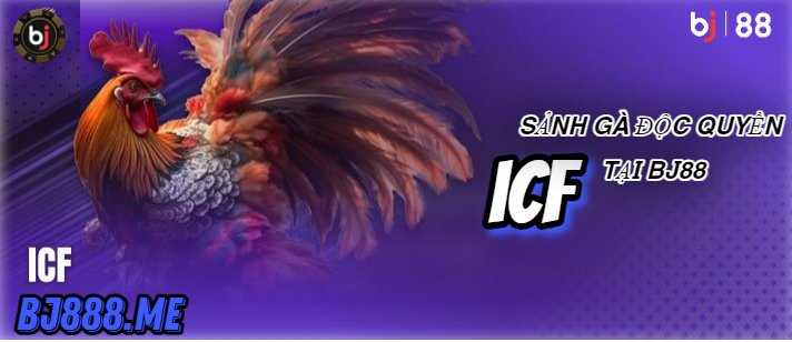 ĐÁ GÀ TRỰC TIẾP ICF TẠI BJ88 3 Untitled Project 25