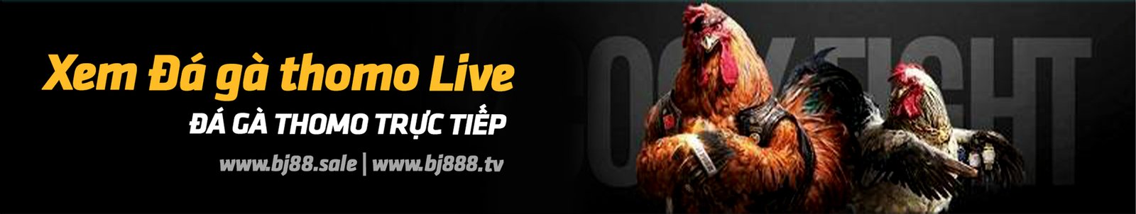 BJ888 Đại lý chính thức của nhà cái BJ888 ME tại Việt Nam 1 bj88 da ga truc tiep