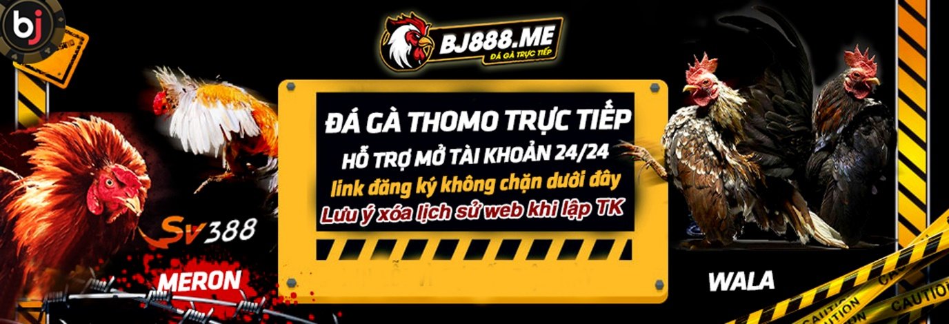 BJ888 Đại lý chính thức của nhà cái BJ888 ME tại Việt Nam 2 Đá Gà thomo