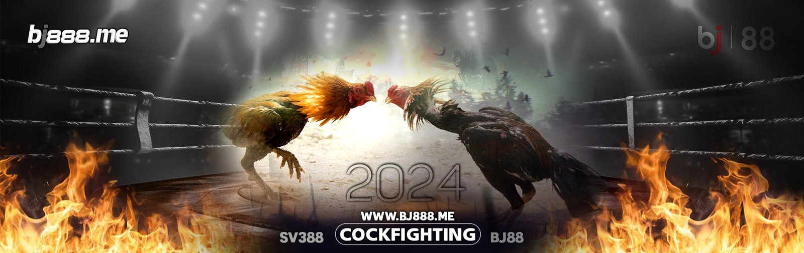 Đá Gà BJ888 9 ĐÁ GÀ BJ88 | TRANG CHỦ ĐỘC QUYỀN THOMO BJ888.ME