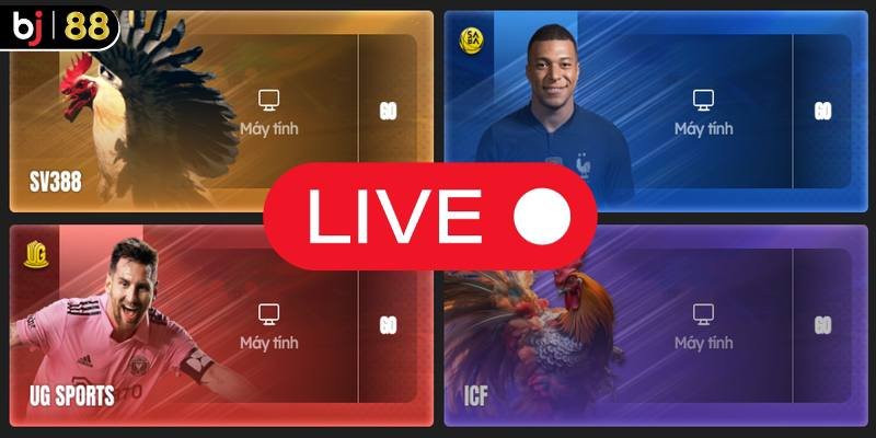 Đá Gà Trực Tiếp C1 2024 1 trực tiếp đá gà