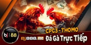 photo 2024 05 25 11 32 13