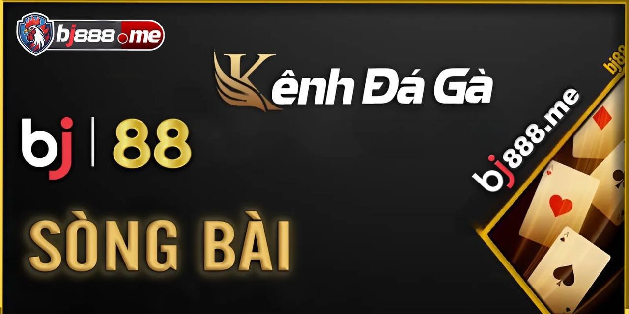 Đá Gà Trực Tiếp Thomo Hôm Nay Trải Nghiệm Đỉnh Cao Cùng BJ888 1 đá gà thomo bj888