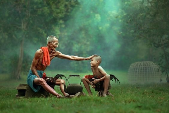 Tổng Hợp Cách Nuôi Gà Đá Hiệu Quả Từ Các Chuyên Gia 2 chế độ chăm sóc đặc biệt