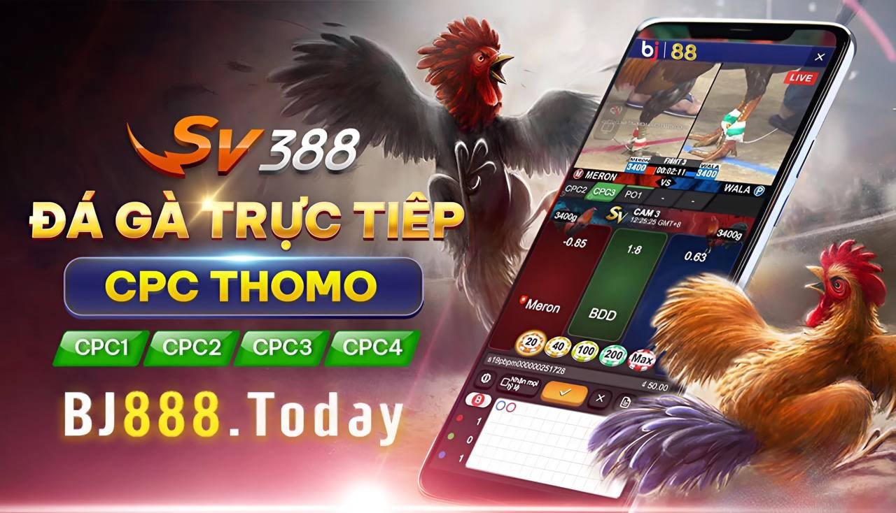 Hỗ Trợ Mở Sảnh Gà SV388 Sau Khi Đăng Ký Tại BJ88 1 Lý do mở sảnh gà tại bj88