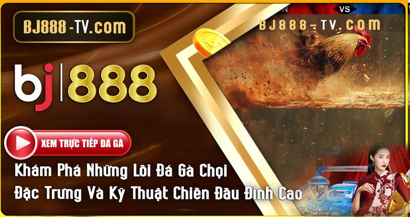 Khám Phá Những Lối Đá Gà Chọi Đặc Trưng Và Kỹ Thuật Chiến Đấu Đỉnh Cao 1 Khám Phá Những Lối Đá Gà Chọi Đặc Trưng tại BJ888
