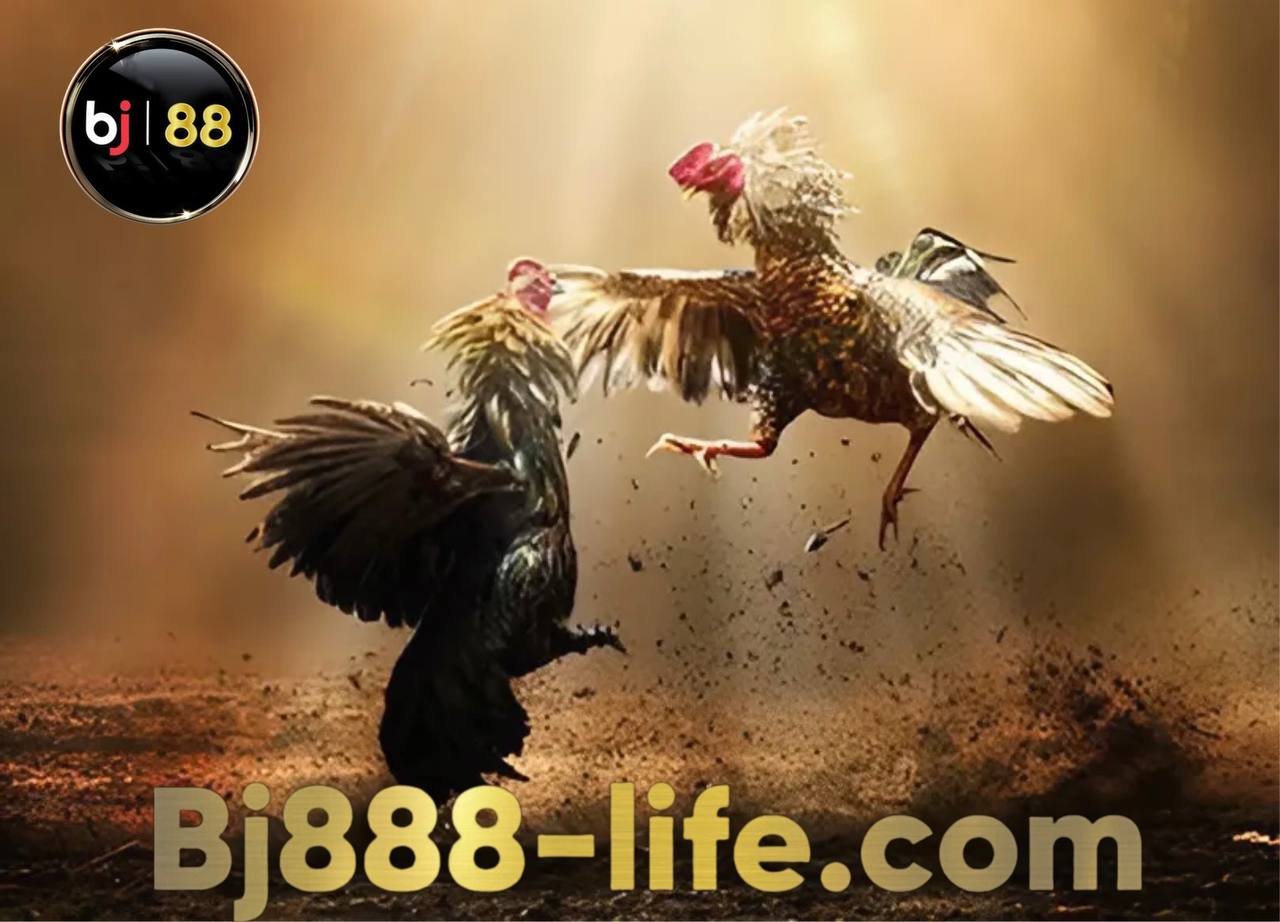 Khám Phá Những Lối Đá Gà Chọi Đặc Trưng Và Kỹ Thuật Chiến Đấu Đỉnh Cao 2 Lối đá hầu