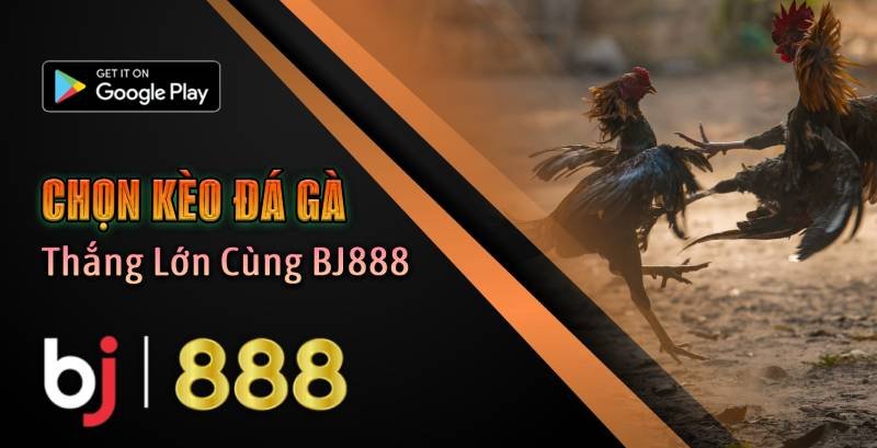 CHÍNH SÁCH BẢO MẬT CỦA BJ888 (Cập nhật năm 2025) 4 Năm 2025 một số thay đổi chính sách bảo mật BJ888 an toàn