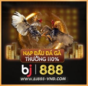 BJ888 - Đá gà BJ888 sv388