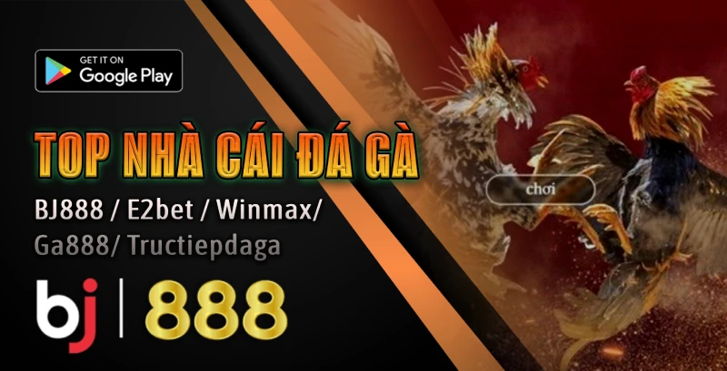 KHUYẾN MÃI HOÀN TRẢ ĐÁ GÀ 1 Khuyến mãi hoàn trả đá gà tại bj888
