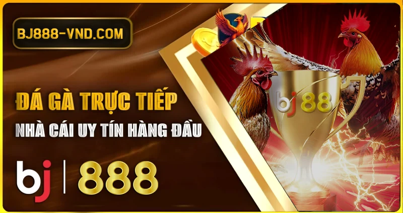 Xem đá gà, cược đá gà CPC ngay hôm nay tại BJ88, BJ888