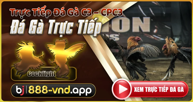 BJ888 - Đá gà trực tiếp