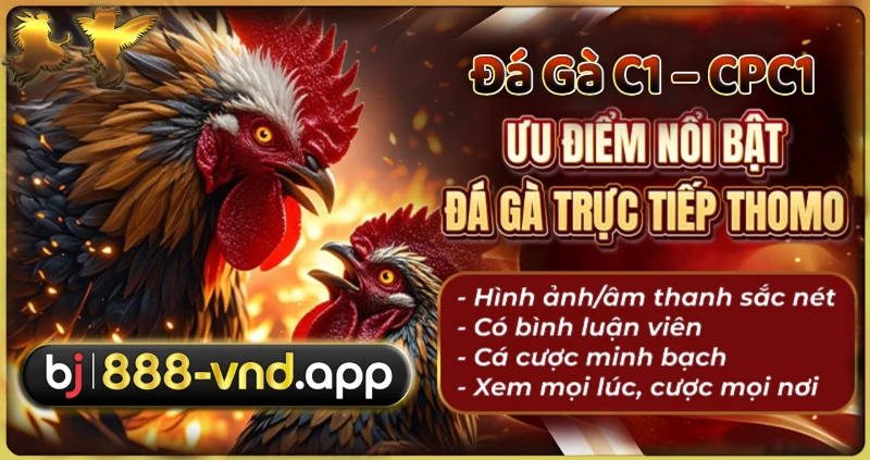 BJ888 - Đăng ký +888k | Link Nhà Cái BJ88 Mới nhất