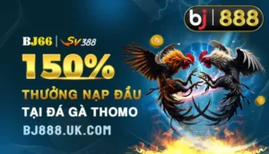 Kham-pha-nha-cai-bj66