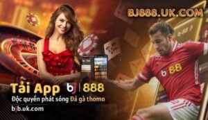 Tai-app-bj88